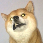 SHIbe__'s Avatar'