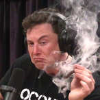 Freelo.Musk's Avatar'