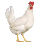 MFZ_AGCO's Avatar'