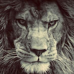 llIIIIllllllIII's Avatar'
