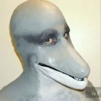 abandonedbucees's Avatar'