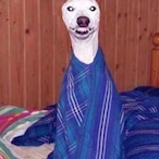 SadMufin's Avatar'