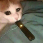 Burned-Preacher's Avatar'