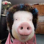 Tasty_Tilin's Avatar'