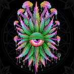 Princ3ss_Kai's Avatar'