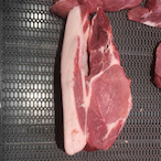 Einzbern.God's Avatar'