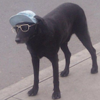 franceslimon's Avatar'