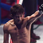 Boxer.No1's Avatar'