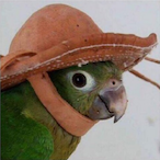 EnzoFr_73's Avatar'