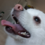 Lockyonna's Avatar'