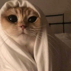 Deadly3nad's Avatar'