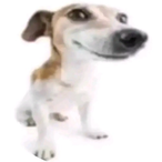 tyslittleguys's Avatar'