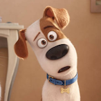 Crazy MeIon's Avatar'