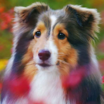 JST_Olitang's Avatar'