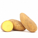 PotatoFlo's Avatar'