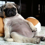 Tokyo dere's Avatar'