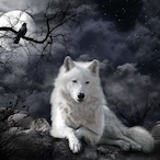 BertaBlutorange's Avatar'