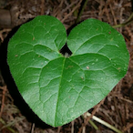 Nexus7440.'s Avatar'