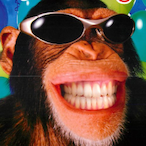Temeto_Vagyok's Avatar'