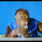 stoffer_en_blik's Avatar'