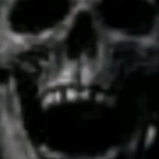DavidPock's Avatar'