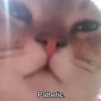 CombatCarl3's Avatar'
