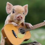 EvroKremic123's Avatar