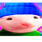 Maestro_Shifu32's Avatar'