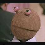 CrazyTheCoconut's Avatar'