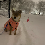 snackwrap1337's Avatar'