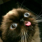 O_SFAXTERMAN's Avatar'
