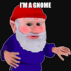 gungerding's Avatar'