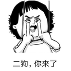 Fool_Gy6's Avatar'