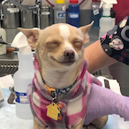 MeesterSquishy's Avatar