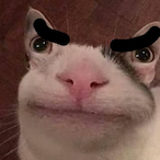 BakfishUR.GFate's Avatar'