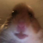 FR4NS1.'s Avatar'