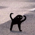 BullXey_'s Avatar'