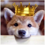 petrichorr.'s Avatar'