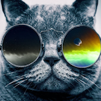 johannesen's Avatar'