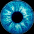 DMPhantomShot's Avatar'