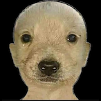 El_Porotito123's Avatar'