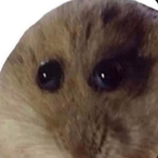 SoupGolem's Avatar'