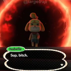 Roi_Chaque's Avatar'