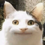 STOMPNg2FAN's Avatar'