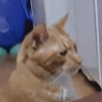 Jeongpal_i's Avatar'