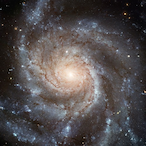 Loveless06105's Avatar