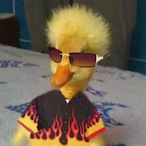 GyattMeatball's Avatar'