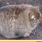 X2ProAssassin22's Avatar'