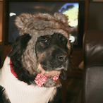 MagicalMrMatzo's Avatar'