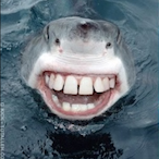 Sharkieey's Avatar'